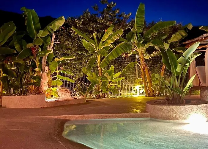 Ninfas Del Mar